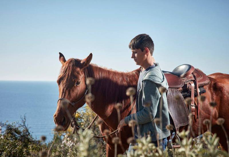 Greg's Spetses Horses - horse riding on Spetses Island Greece.