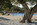 Xenon Estate Spetses Island Greece