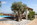Xenon Estate Spetses Island Greece