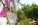 Pension Condillia II, Spetses Island, Greece