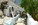 Pension Condillia II, Spetses Island, Greece