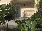 Spetses Island Greece