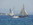 Classic Yacht Race Spetses Island Greece